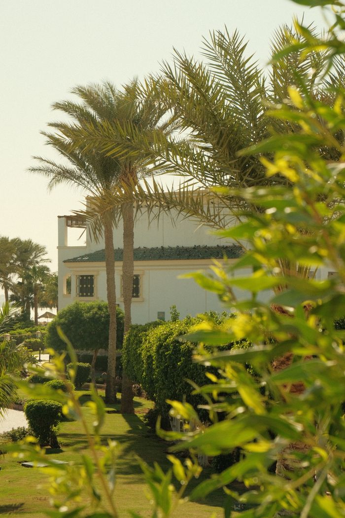 Sunlit view of a tropical villa surrounded by lush palm trees and greenery.